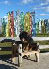 Françoise et Alain - Circuit au Yunnan - Septembre 2014 (12 jours)